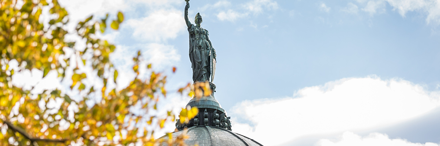 Image of the statue on the top of the Montana State Capitol dome