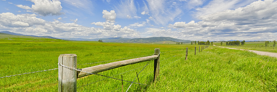 Imae of a fence post and field and Montana sky